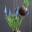 봄앤봄 플라워 카페 이미지