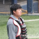 바오 이미지