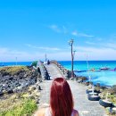 제주도 펜션 디어노이 | 제주도) 함덕 해수욕장 미니 오픈카 여행 후기 | 가성비 수영장 펜션 추천