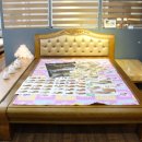 속초바다야 이미지