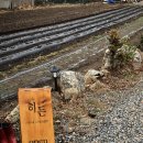 253-2-000003 | [동해] 조용한 곳에 위치한 한옥카페 ‘히든’
