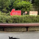 실생활 일본어회화(초급반) | 부산 서면 일본어회화 아야코센세 후기