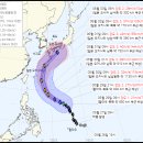 6호 태풍 장미 근황 이미지