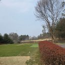 이포골프장 | 보고싶다 녹색 잔디..! 여주 골프장 IPO(이포) CC 라운딩 후기