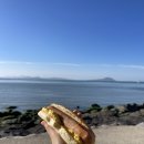 토리농장 | [보성/캠핑장] 바다와 가까운 전남 애견동반 캠핑장, 뷰 맛집 특별 10번 후기 ‘지중해캠핑장’ 주차 꿀팁