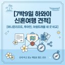 어썸커뮤니티 - 동래구 석사로 15 | 하와이 신혼여행 7박9일 허니문리조트, 투어민, 어썸트래블 견적공유