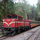 고궁스포츠클럽 이미지