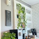 존앤폴팜스테이 이미지