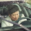 OK 스피드 이미지