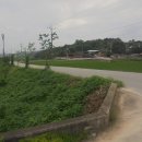 만경산 산림욕장 이미지