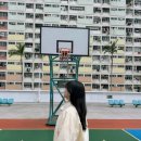 무지개아파트 | 홍콩여행 초이홍아파트 무지개 감성 포토스팟 후기