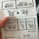 (주)뉴신화렌트카 | 41개월 아기랑 제주도 Day1 양양 파라타항공, 제주 렌트카, 신화월드 모모쥬 동물원 강추