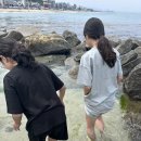 오솔채 | 강릉 펜션 추천 - 독채 풀빌라 스테이오솔채 2박3일 후기♩