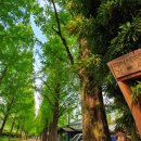 담양오방길5코스(누정길) 이미지