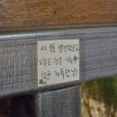오케이우빽가네갈비살 | 대충 살자 했는데 또 진심이었음