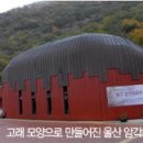 돌과나무 이미지