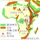 아프리카 이미지
