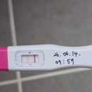제일광고 - 양평군 잿말길10번길 42-4 | [26.06.13.]30대 후반 부부의 '경주 대추밭백한의원' 임신 성공 노광고 내돈내산 후기