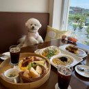 pet47무0191 | [부산 기장] 애견 동반 가능한 카페 브런치 맛집 &#34;아워오차드&#34;