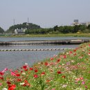 황룡강변 이미지