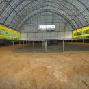 세종승마클럽 이미지