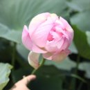 상리저수지 이미지