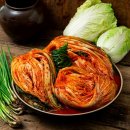 도미솔유통 | 아삭한 도미솔 김치로 김치 요리 정복하기