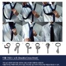 일마노테일러 이미지
