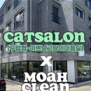 이쁘냥 고양이미용실 대전점 이미지