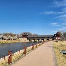 신평동1080 이미지