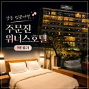 위너스 | 강릉 벚꽃여행, 주문진 오션뷰 위너스호텔 1박 후기