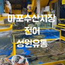 성원유통 | 마포수산시장 성원유통에서 요즘 제철인 전어 가격 구매후기 (집나간 며느리 돌아오나요)
