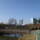 여의천2-9 Daum카페