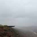 (주)야생 | 서호주 여행: 칼바리 국립공원 명소 스카이워크 네이쳐스윈도우 z벤드 야생캥거루