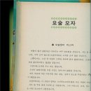 비둘기모사 티스토리