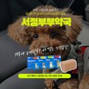 송탄온누리약국 이미지