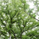 김천역(역전파출소)1 | 영암군 대표 관문 영암읍 남풍리...