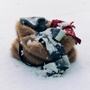 퍼피 앤 퍼피(PUPPY & PUPPY) | 털옷을 입히자 연말룩과 잘 어울리는 퍼가방 위시리스트 (미닛뮤트, 코페리, 포에토, 썸웨어버터, 디어앤)