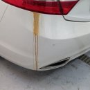 요디테일 이미지