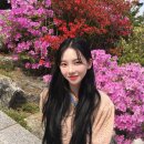 예쁘심