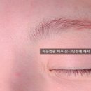 네일,그리고(reego)봄