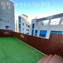 왈왈 애견유치원&호텔 이미지
