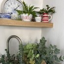 보태니컬 플랜(Botanical Plan) 이미지