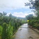 명복농장 이미지