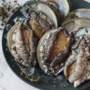 완도전복 이미지