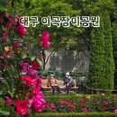씨유 이곡장미공원점 | 대구 이곡장미공원 축제 일정 및 실시간, 주차정보