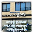 연못이 있는 집 | 내돈내산🐶영종도 애견동반 실내 데이트 &#34;작은 연못&#34;🐟솔직후기