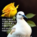 단양 마늘 축제 무대에서~~ 이미지