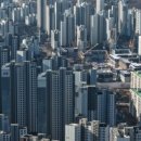 N부동산공인중개사사무소 이미지