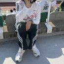 부경택시(주) | [손기정 평화 마라톤 후기] 우리가 고등어의 속도로 갈 수 없다면